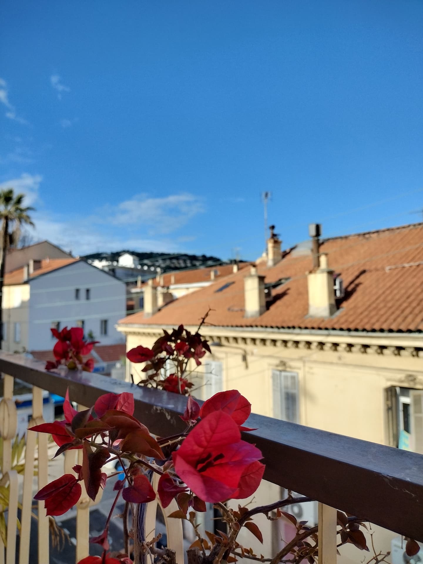 Cannes Centre Hachard